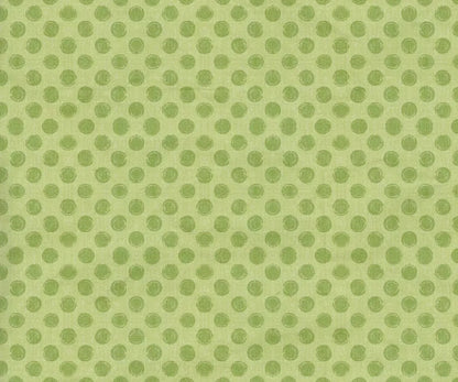 Lime Delight 5X42 Fleece ( 60 X 50 Inch ) Backdrop