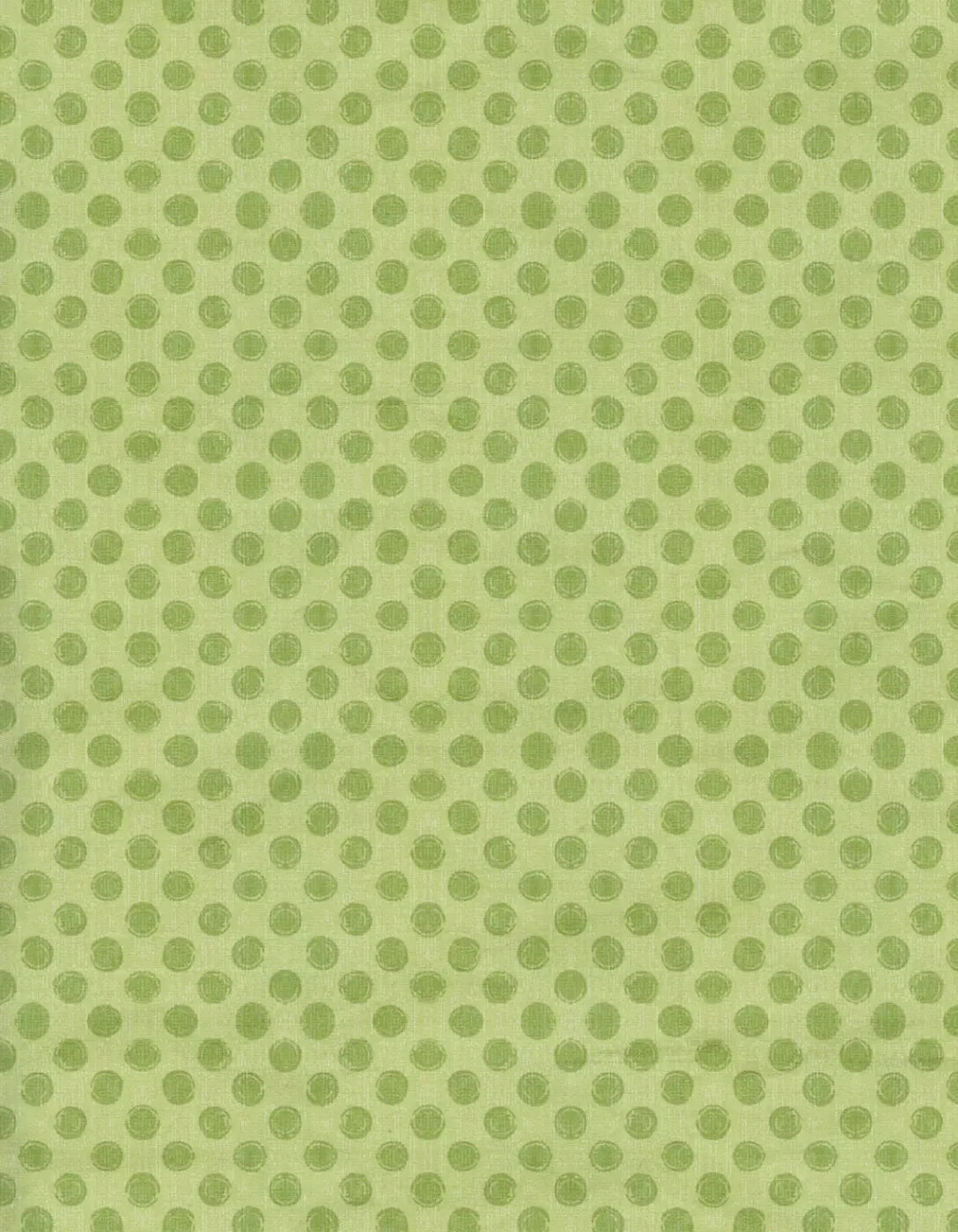 Lime Delight 6X8 Fleece ( 72 X 96 Inch ) Backdrop
