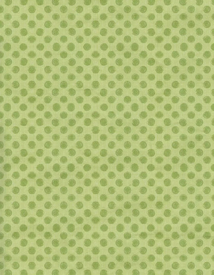 Lime Delight 6X8 Fleece ( 72 X 96 Inch ) Backdrop