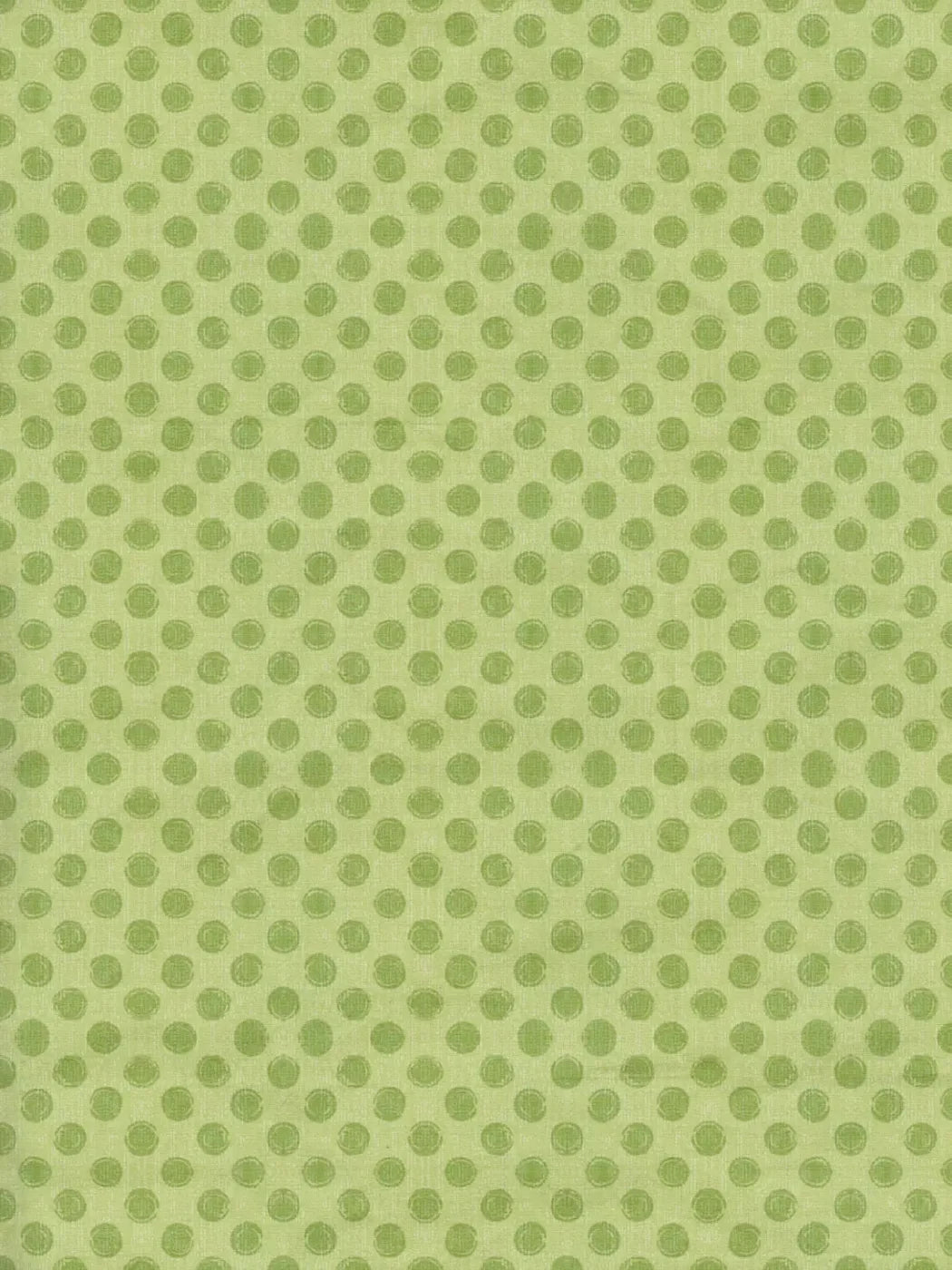 Lime Delight 8X10 Fleece ( 96 X 120 Inch ) Backdrop