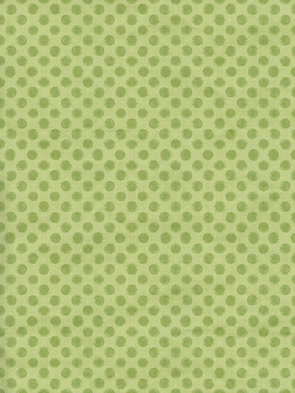 Lime Delight 8X10 Fleece ( 96 X 120 Inch ) Backdrop