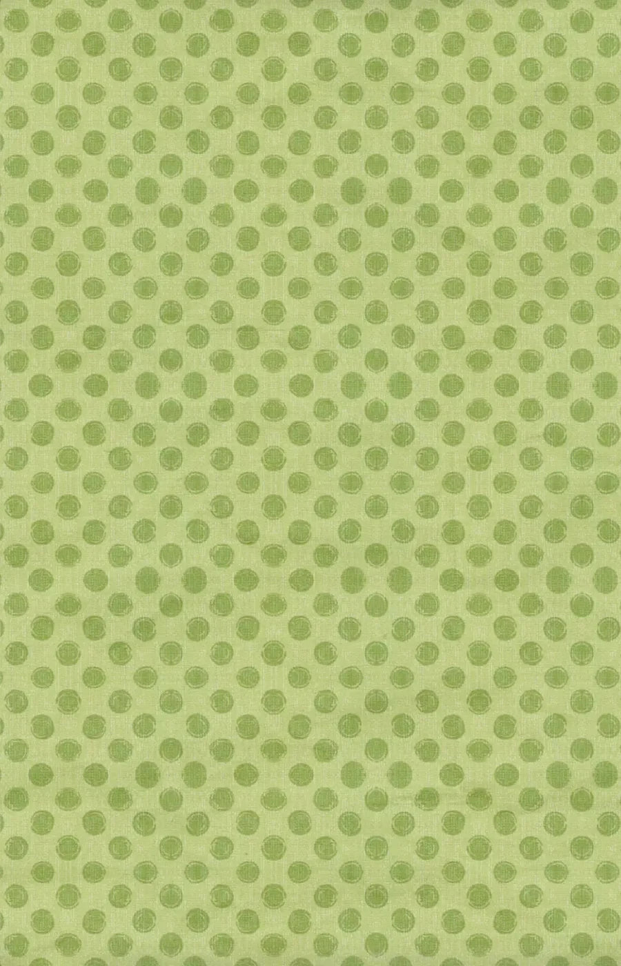 Lime Delight 8X12 Ultracloth ( 96 X 144 Inch ) Backdrop