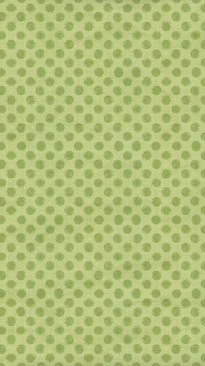 Lime Delight 8X14 Ultracloth ( 96 X 168 Inch ) Backdrop