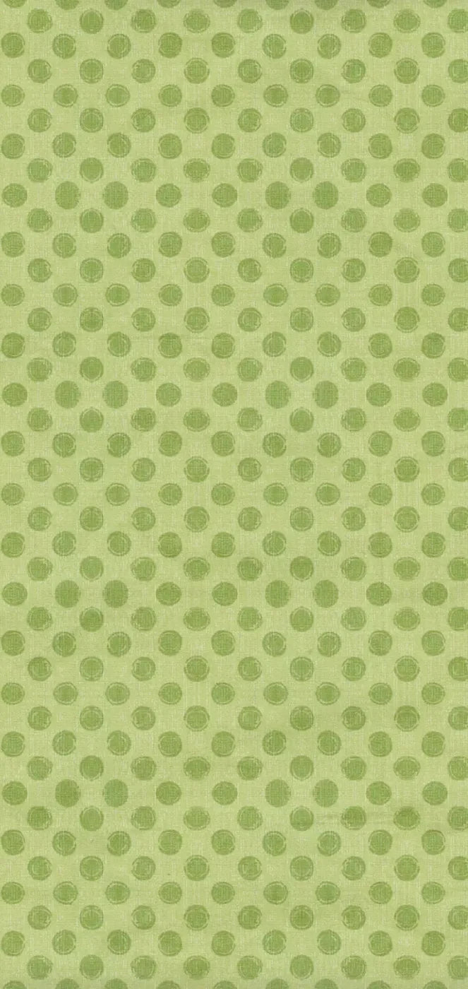 Lime Delight 8X16 Ultracloth ( 96 X 192 Inch ) Backdrop