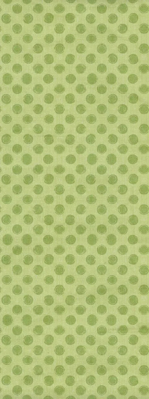 Lime Delight 8X20 Ultracloth ( 96 X 240 Inch ) Backdrop