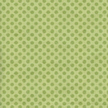 Lime Delight 8X8 Fleece ( 96 X Inch ) Backdrop