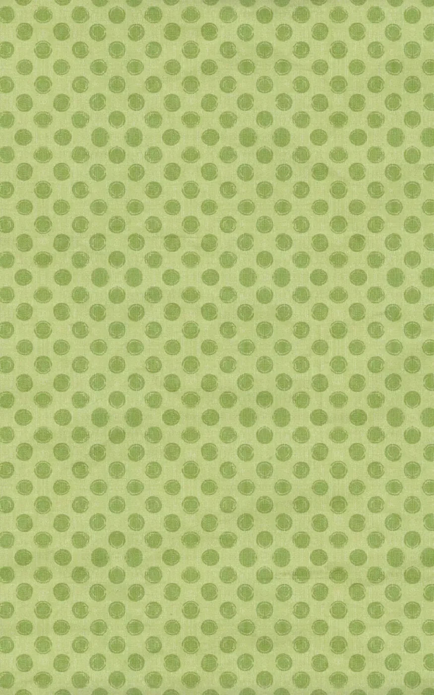 Lime Delight 9X14 Ultracloth ( 108 X 168 Inch ) Backdrop