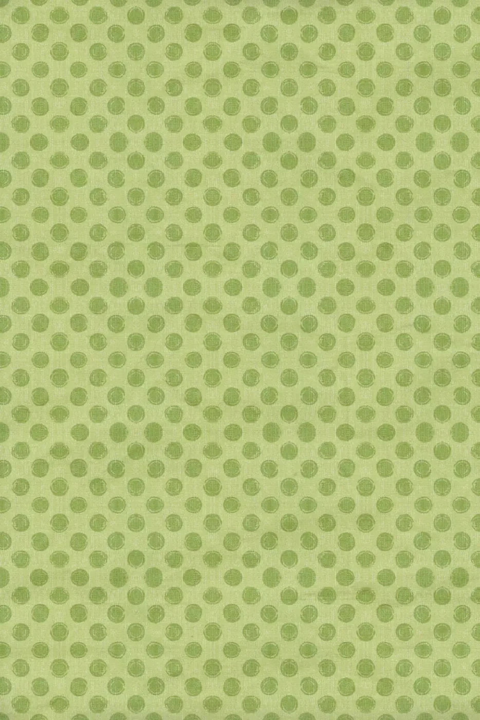 Lime Delight Backdrop