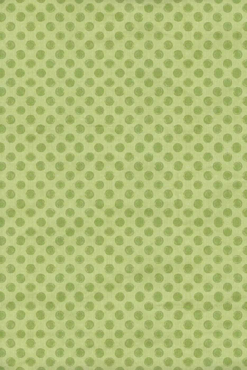 Lime Delight Backdrop