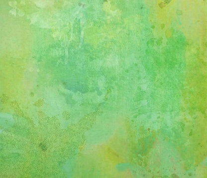 Lime Splash 12X10 Ultracloth ( 144 X 120 Inch ) Backdrop