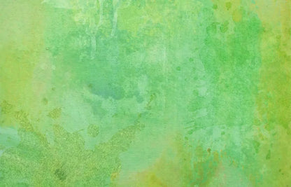 Lime Splash 12X8 Ultracloth ( 144 X 96 Inch ) Backdrop