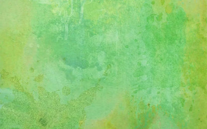 Lime Splash 14X9 Ultracloth ( 168 X 108 Inch ) Backdrop