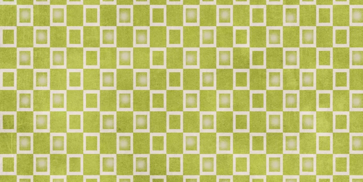 Limeade 20X10 Ultracloth ( 240 X 120 Inch ) Backdrop