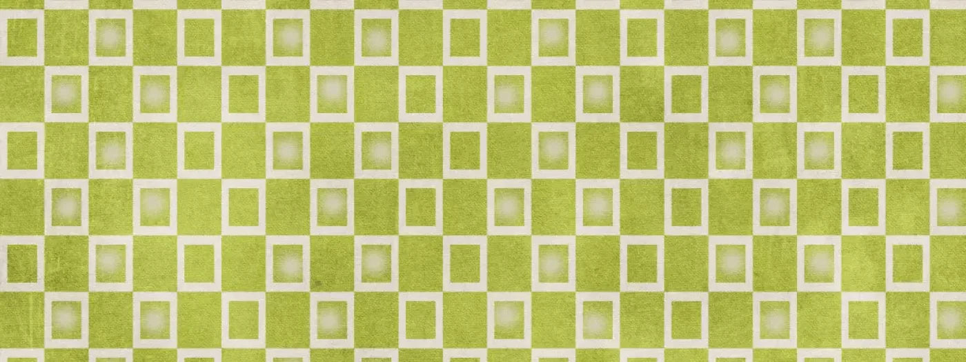 Limeade 20X8 Ultracloth ( 240 X 96 Inch ) Backdrop