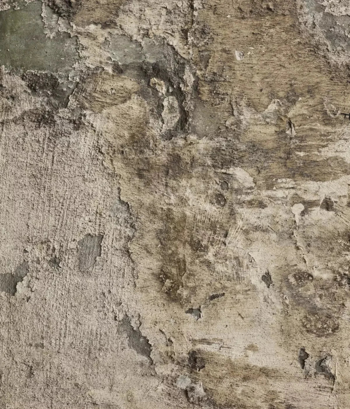 Limited 10X12 Ultracloth ( 120 X 144 Inch ) Backdrop