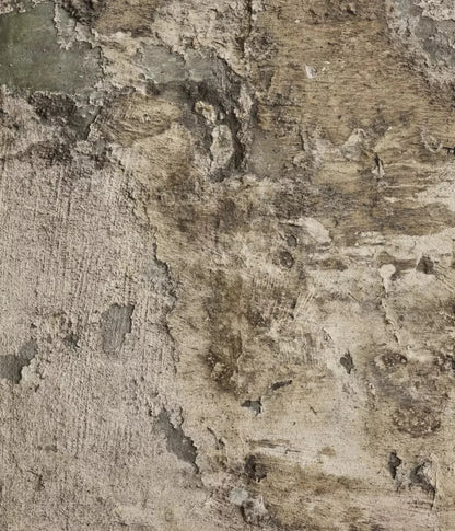 Limited 10X12 Ultracloth ( 120 X 144 Inch ) Backdrop