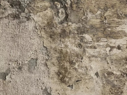 Limited 10X8 Fleece ( 120 X 96 Inch ) Backdrop