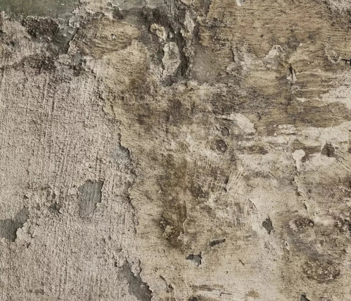 Limited 12X10 Ultracloth ( 144 X 120 Inch ) Backdrop