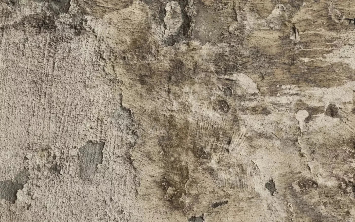 Limited 14X9 Ultracloth ( 168 X 108 Inch ) Backdrop