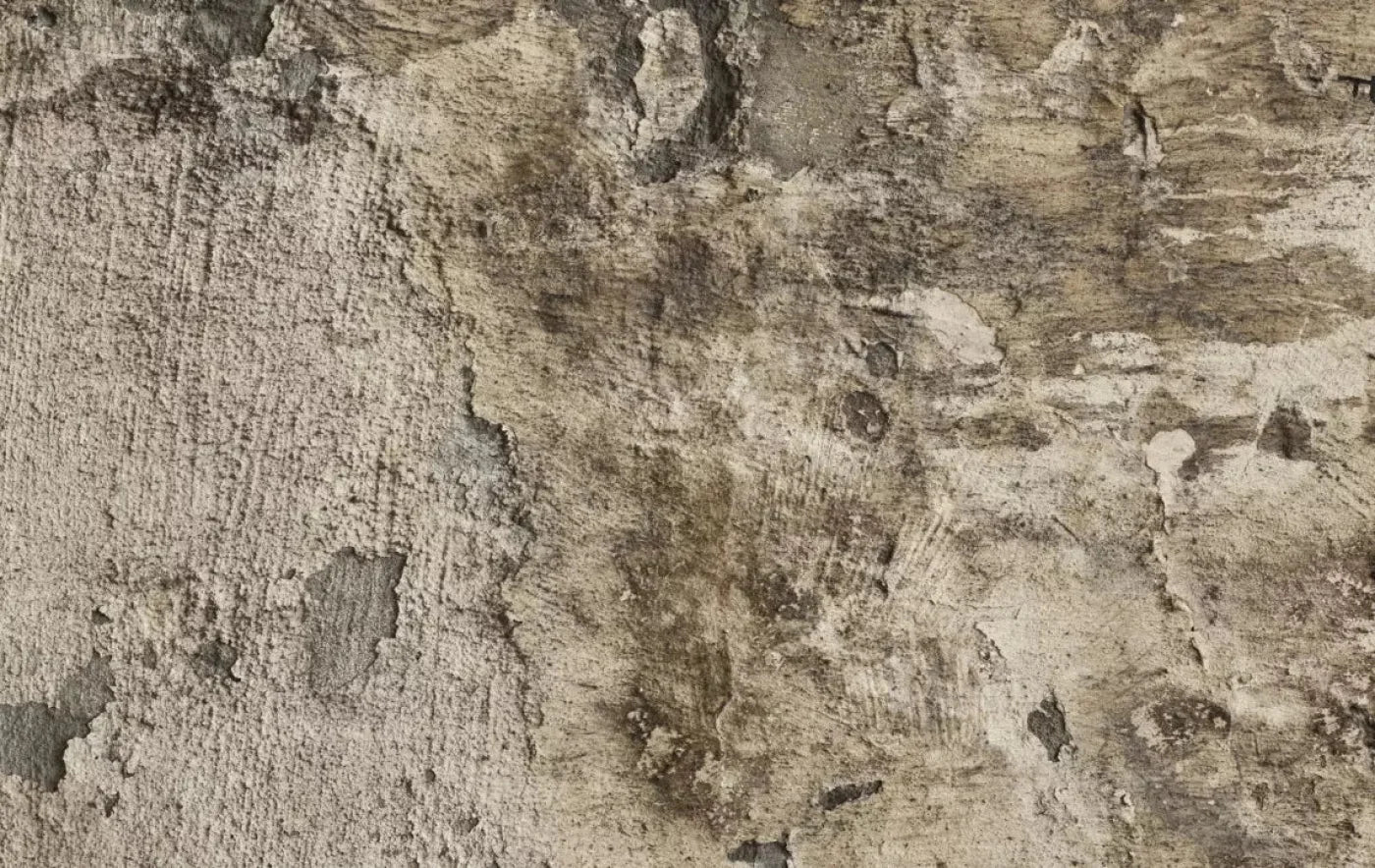 Limited 16X10 Ultracloth ( 192 X 120 Inch ) Backdrop