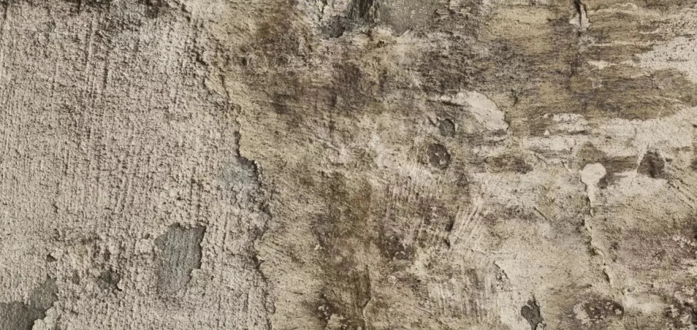 Limited 16X8 Ultracloth ( 192 X 96 Inch ) Backdrop