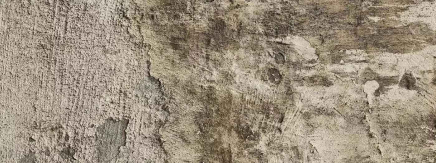 Limited 20X8 Ultracloth ( 240 X 96 Inch ) Backdrop