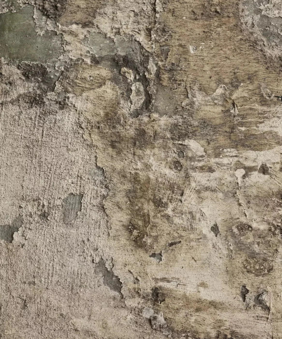 Beige Urban Grunge Backdrop for Photography