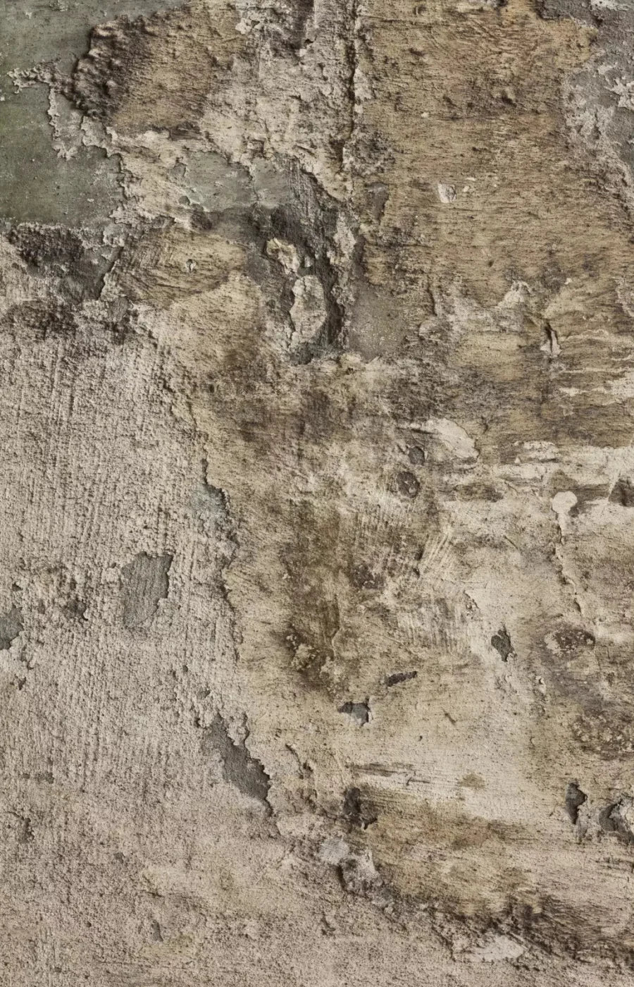 Limited 8X12 Ultracloth ( 96 X 144 Inch ) Backdrop