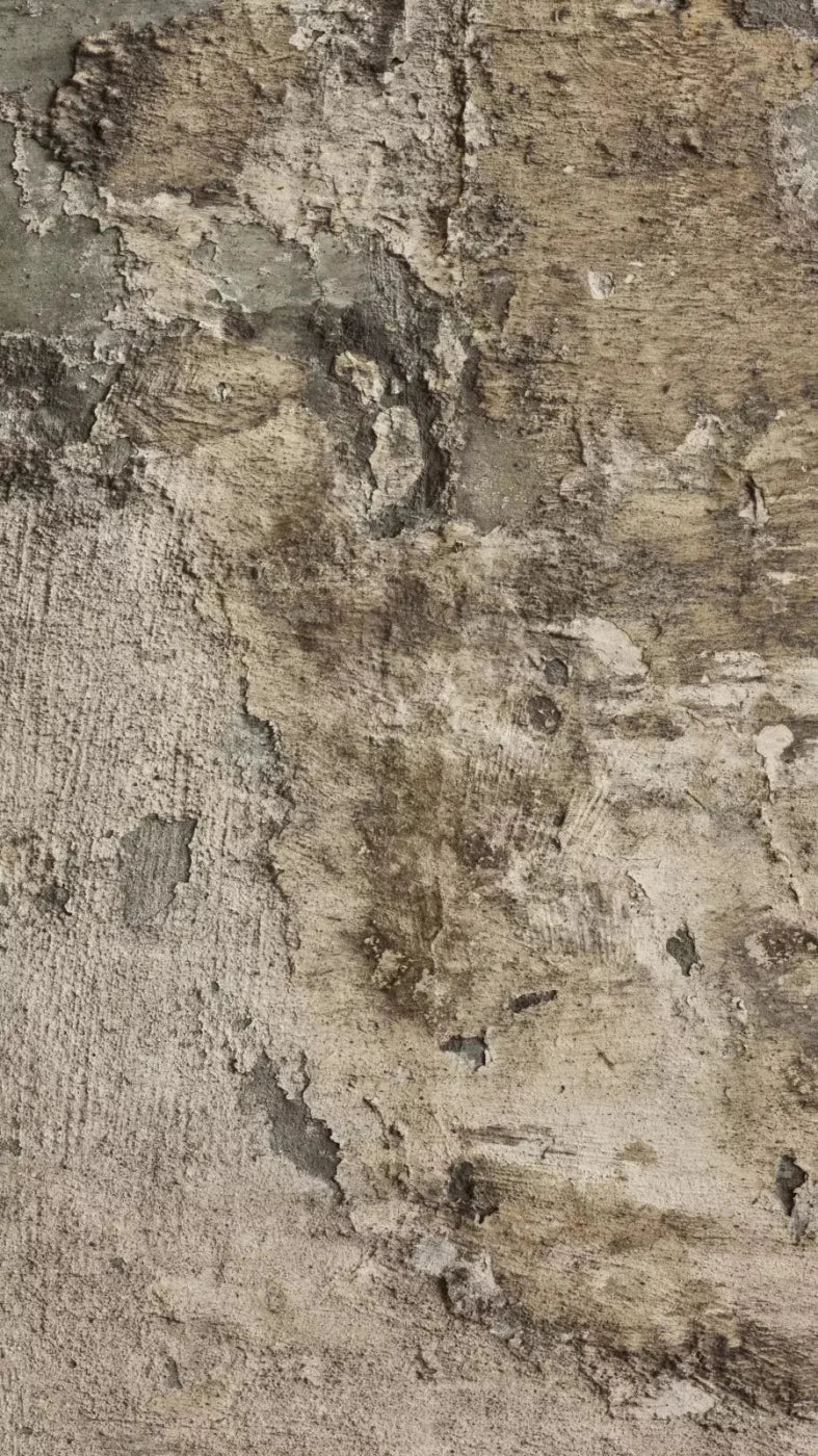 Limited 8X14 Ultracloth ( 96 X 168 Inch ) Backdrop