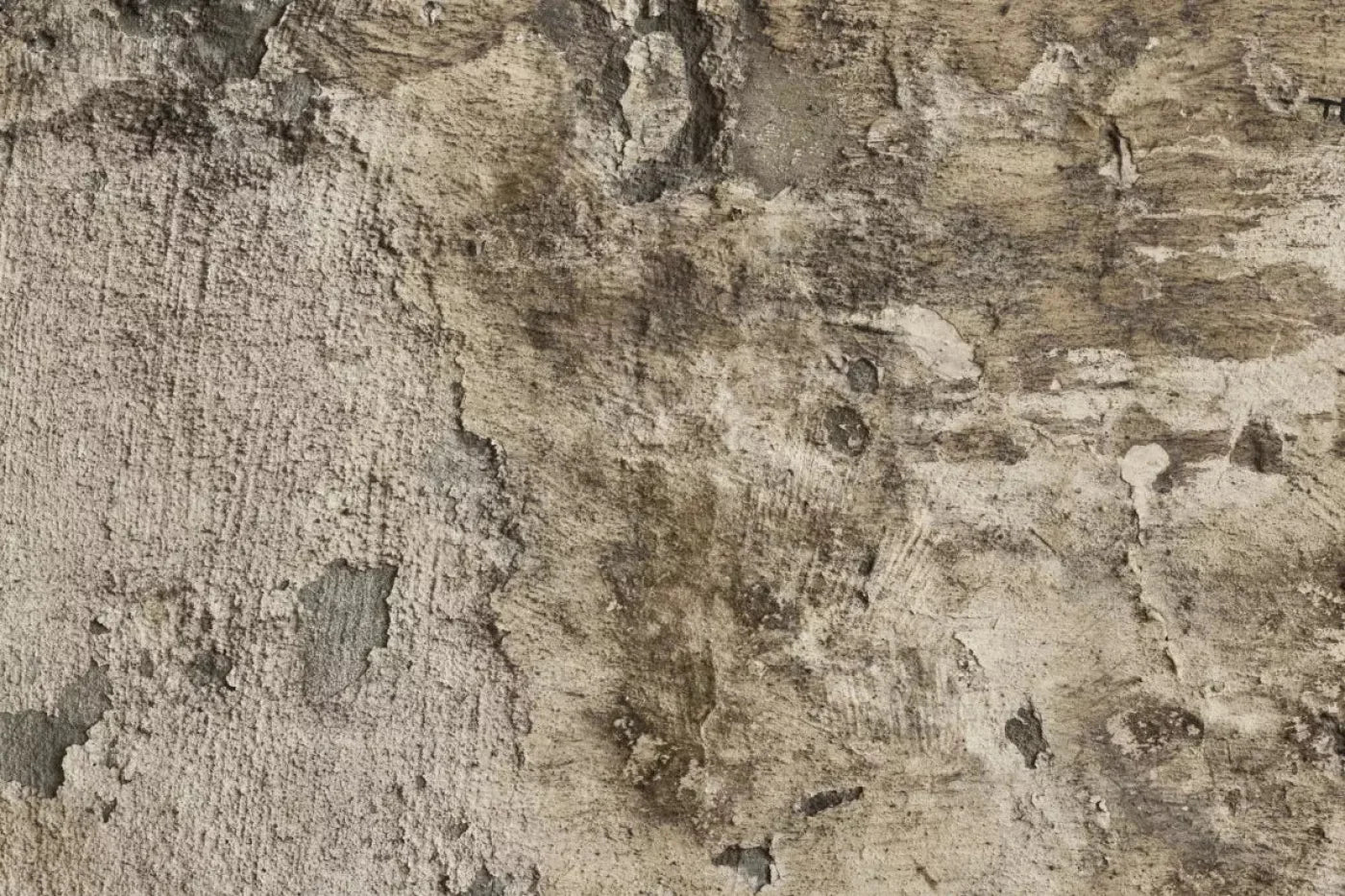 Limited 8X5 Ultracloth ( 96 X 60 Inch ) Backdrop