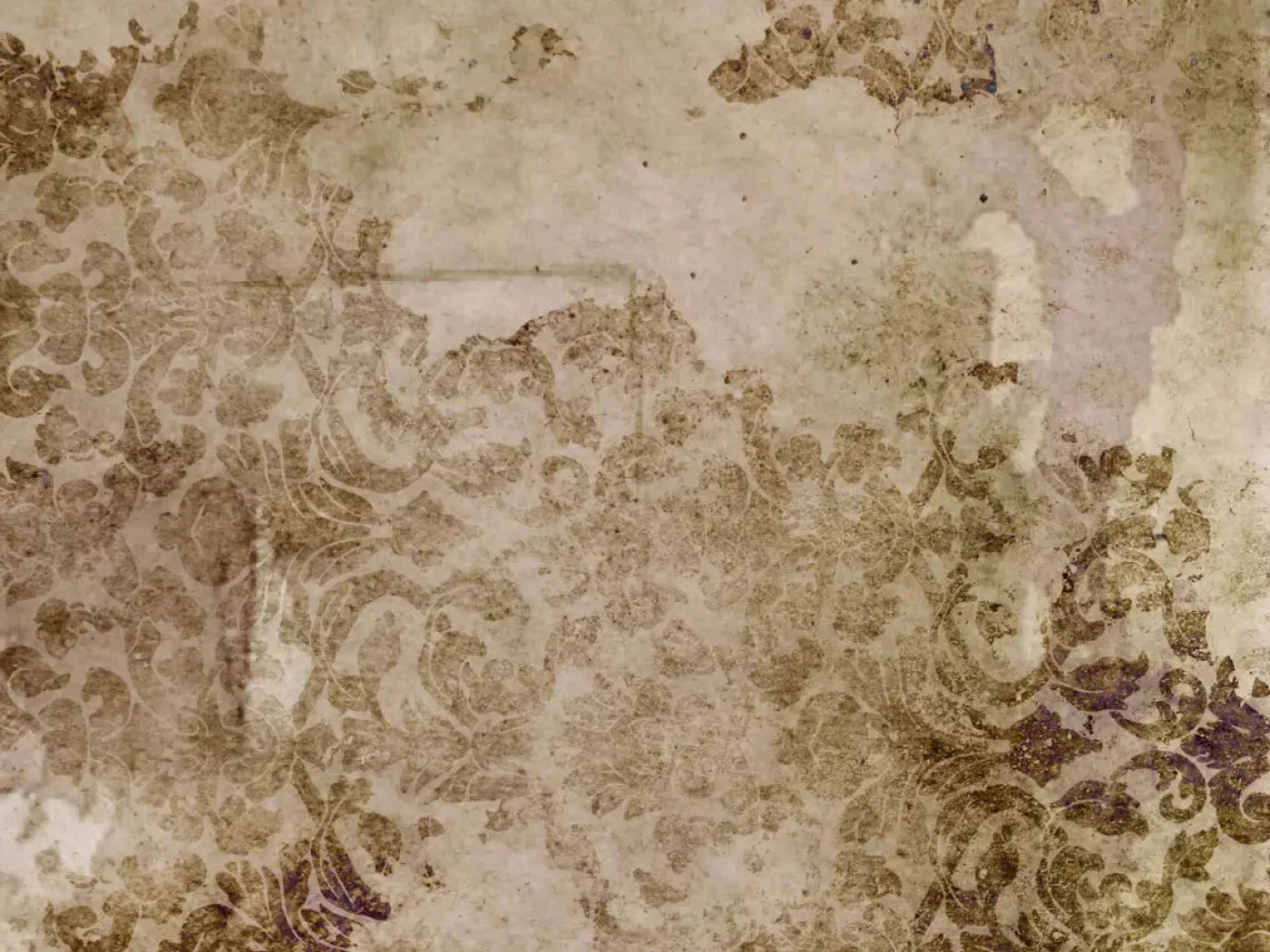 Linden 68X5 Fleece ( 80 X 60 Inch ) Backdrop