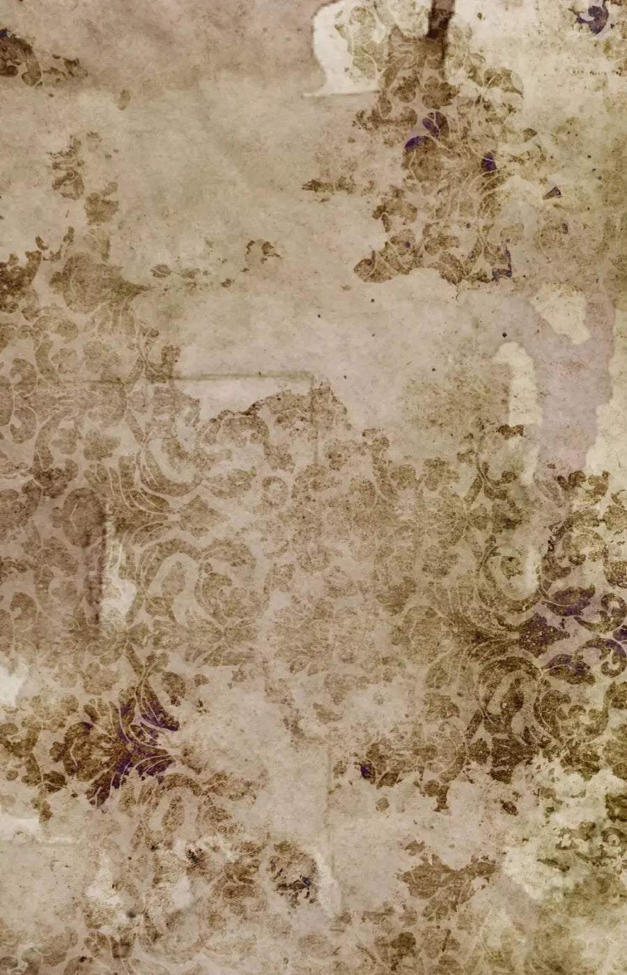Linden 8X12 Ultracloth ( 96 X 144 Inch ) Backdrop