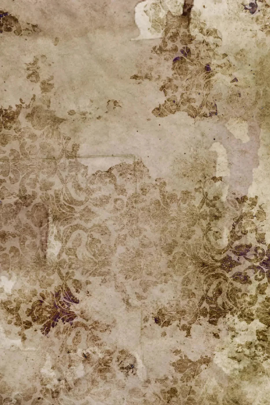 Linden Backdrop