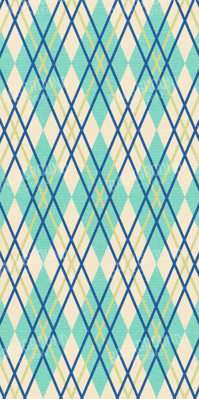 Lionel 10X20 Ultracloth ( 120 X 240 Inch ) Backdrop