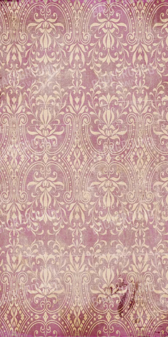 Lita 10X20 Ultracloth ( 120 X 240 Inch ) Backdrop