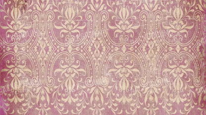 Lita 14X8 Ultracloth ( 168 X 96 Inch ) Backdrop