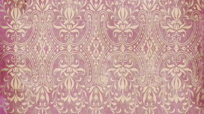 Lita 14X8 Ultracloth ( 168 X 96 Inch ) Backdrop