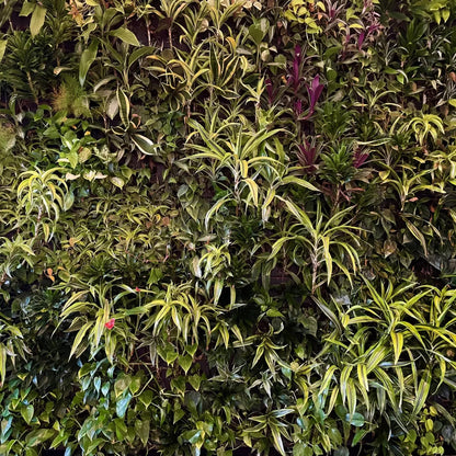 Living Wall 10X10 Ultracloth ( 120 X Inch ) Backdrop