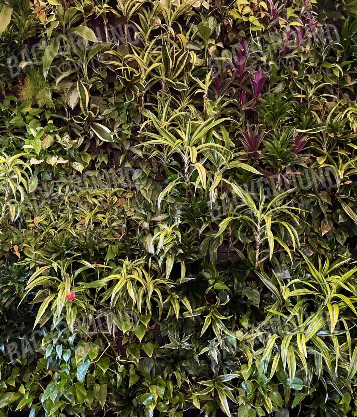 Living Wall 10X12 Ultracloth ( 120 X 144 Inch ) Backdrop