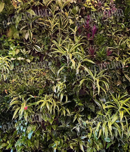 Living Wall 10X12 Ultracloth ( 120 X 144 Inch ) Backdrop