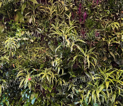 Living Wall 12X10 Ultracloth ( 144 X 120 Inch ) Backdrop