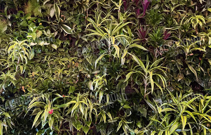 Living Wall 12X8 Ultracloth ( 144 X 96 Inch ) Backdrop