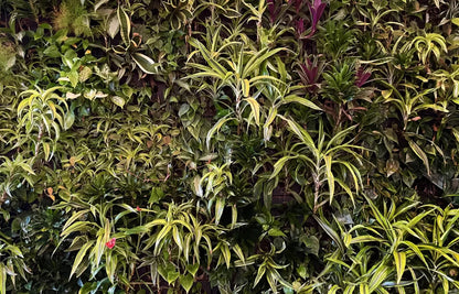 Living Wall 12X8 Ultracloth ( 144 X 96 Inch ) Backdrop