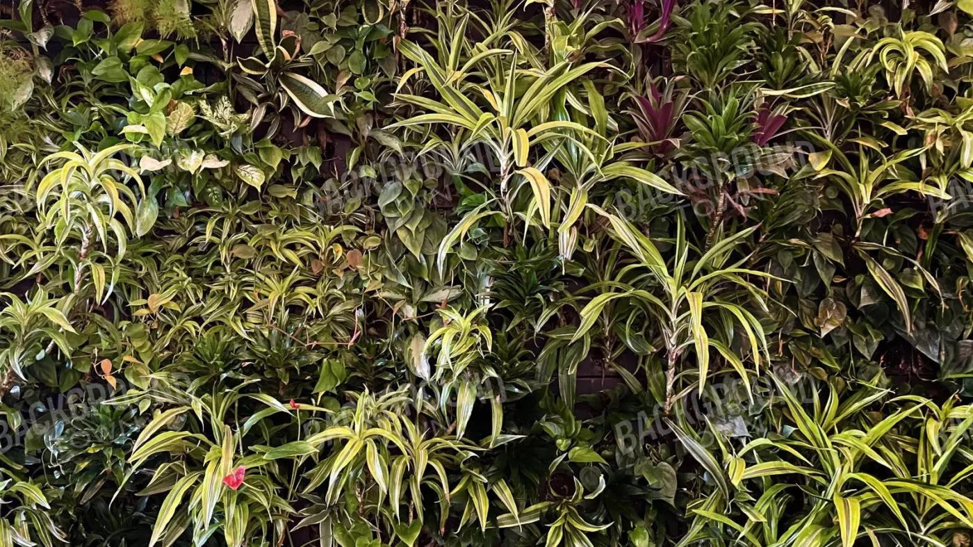 Living Wall 14X8 Ultracloth ( 168 X 96 Inch ) Backdrop
