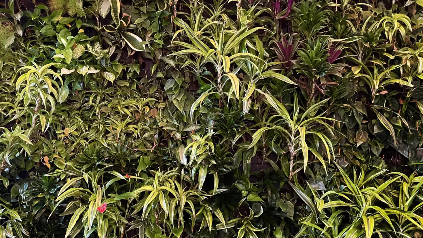Living Wall 14X8 Ultracloth ( 168 X 96 Inch ) Backdrop