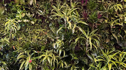Living Wall 14X8 Ultracloth ( 168 X 96 Inch ) Backdrop