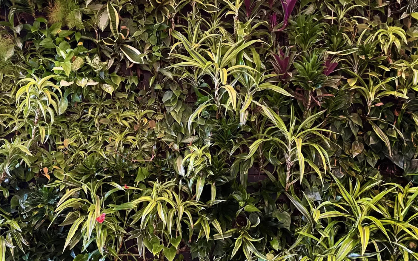Living Wall 14X9 Ultracloth ( 168 X 108 Inch ) Backdrop