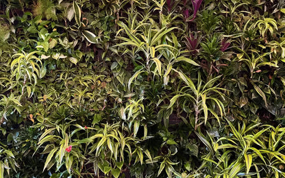 Living Wall 14X9 Ultracloth ( 168 X 108 Inch ) Backdrop