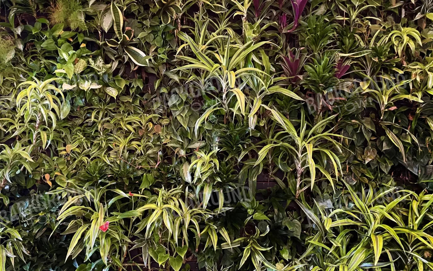 Living Wall 14X9 Ultracloth ( 168 X 108 Inch ) Backdrop