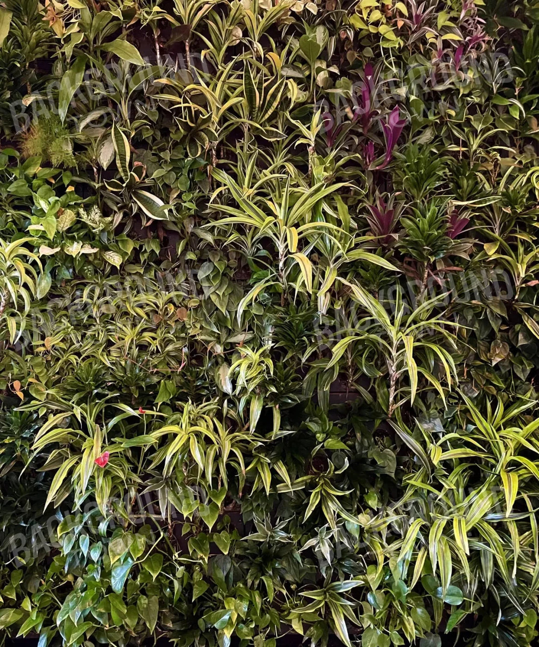 Green Nature Backdrop for Photography